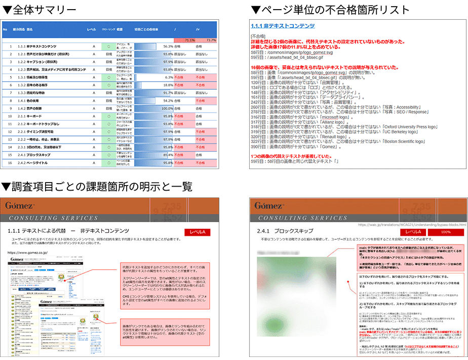 調査項目ごとの課題箇所の明示と一覧